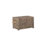 Salim Wicker Trunk - SEA7019 - Brown - Safavieh - Image 4