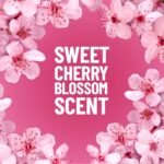 Pine-Sol All Purpose Multi-Surface Liquid Cleaner - Cherry Blossom - 48 fl oz - Image 5