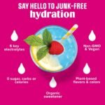 Ultima Replenisher Daily Hydration Electrolyte Stick Packs - Raspberry - 2.3oz/20ct - Image 4