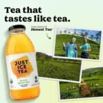 JUST ICE TEA Honey Green Tea - 16 fl oz - Image 4