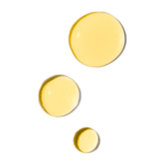 All-Embracing Revitalizing Facial Oil - Image 3