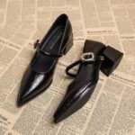 2025 Premium Leather Mary Janes - French Vintage Pointed Toe Pumps Chunky Heel Single Strap Shoes Buckle Decor - Image 2