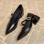 2025 Premium Leather Mary Janes - French Vintage Pointed Toe Pumps Chunky Heel Single Strap Shoes Buckle Decor - Image 6