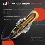 A-Premium® Downstream Left or Right Oxygen Sensor - Image 3