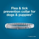 Seresto 8-Month Flea & Tick Collar for Large Dogs Over 18 lbs., 1ct - Image 4