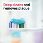 Amazon Basics Clean Plus Toothbrushes, Soft, Full, 10 Count, 1 Pack, Packaging May Vary - Image 3