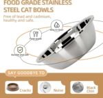 Elevated Cat Bowl, Raised Cat Food and Water Bowl Set for Indoor Cats, Splash Proof with 2 Stainless Steel Pet Food Bowls for Cats and Puppies, Whisker Fatigue and Dishwasher Safe - White - Image 4