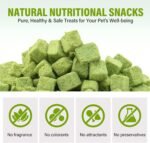AiRunTech Cat Grass Treats, Cat Grass for Indoor Cats, 120g - Image 4