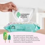 Amazon Brand - Mama Bear Gentle Formulated without Fragrance Baby Wipes, Hypoallergenic, Sensitive Skin, Unscented, 800 Count (8 Packs of 100) - Image 4