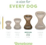 Benebone Dental Dog Chew Toy for Aggressive Chewers, Real Bacon, Medium - Image 4