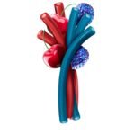 JOLLY RANCHER Ropes Blue Raspberry & Cherry Candy Bag, 6 oz - Image 4