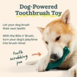 WOOF Bite n' Brush Dog Dental Sticks, Refills for Chew Toy, Chicken, 2 Pack - Image 5