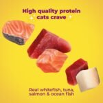 Meow Mix Seafood Favorites, Wet Food Variety Pack, 12 Cups - Image 2