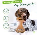 Benebone Dental Dog Chew Toy for Aggressive Chewers, Real Bacon, Medium - Image 3