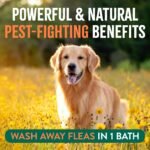 TropiClean Flea and Tick Shampoo for Dogs, Max Strength Formula, 20oz - Image 4