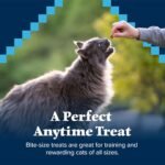 Blue Buffalo Wilderness Grain Free Soft-Moist Chicken & Salmon Cat Treats,2-oz. Bag,(Pack of 2) - Image 4