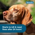 Seresto 8-Month Flea & Tick Collar for Large Dogs Over 18 lbs., 1ct - Image 5