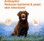Douxo S3 PYO Medicated Dog Shampoo with 3% Chlorhexidine for Dogs – Antibacterial & Antiseptic Yeast Infection Treatment For Dogs & Cats, Clinically Proven, 6.7 fl oz - Image 2
