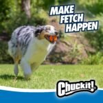 Chuckit! Ultra Rubber Dog Ball, Floating Fetch Toy, Medium 2.5-in, 2-Pack - Image 3