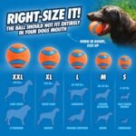Chuckit! Ultra Rubber Dog Ball, Floating Fetch Toy, Medium 2.5-in, 2-Pack - Image 5