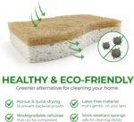 AIRNEX Natural Kitchen Sponges (12 Pack) - Plant-Based Cellulose & Coconut Scrubber Dish Sponges for Kitchen - Eco-Friendly, Non Scratch, Compostable, Non Toxic S-Shaped Natural Sponges for Dishes - Image 3