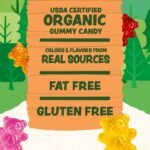 Black Forest USDA Organic Gummy Bears - 65 Pouches - .0.8Oz Each - Image 4