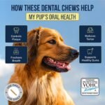 Tartar Shield® Soft Rawhide Dental Chews, Large Dogs, VOHC Accepted, 24 ct - Image 3