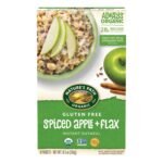 Nature's Path Organic Spiced Apple + Flax Oatmeal, 11.3 oz (Pack of 6)