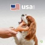 Benebone Wishbone Dog Chew Toy for Aggressive Chewers, Real Bacon, Medium - Image 5
