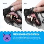 Dental Fresh Advanced Plaque & Tartar Water Additive for Dogs & Cats, 17 oz - Image 4