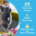 Purina Tidy Cats Clumping Cat Litter, Glade Clear Springs, 38 lb - Image 3