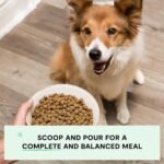 Open Farm Grain Free Dry Dog Food, Pork Kibble, 22lb Bag - Image 4