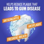 TheraBreath Healthy Gums Oral Rinse, Clean Mint, 16 fl oz, 2-Pack - Image 3