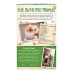 Nature's Path Organic Spiced Apple + Flax Oatmeal, 11.3 oz (Pack of 6) - Image 4