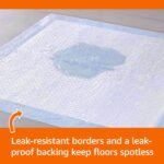 Amazon Basics X-Large Heavy Duty Absorbent Puppy Potty Pads, Leak-Proof, Quick-Dry, Super Absorbent Gel Technology for Dog Training, 28 x 34 Inches, Blue & White, Pack of 50 - Image 2
