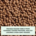 Open Farm Grain Free Dry Dog Food, Pork Kibble, 22lb Bag - Image 3
