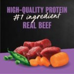Cesar Filet Mignon Flavor Small Breed Dry Dog Food - Image 4