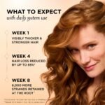 Pantene Abundant & Strong Shampoo - 13.5 fl oz - Image 3