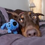 Multipet 6" Loofa The Original Interactive Plush Dog Toy - Blue - Image 3