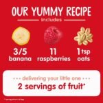 HappyBaby Clearly Crafted Bananas Raspberries & Oats Baby Food Pouch - Image 3