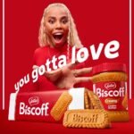 Biscoff Classic Cookies - 8.8oz - Image 3