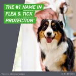 Frontline Plus Flea and Tick Treatment for Dogs - 3 doses - Image 4