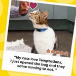 Temptations Classic Tempting Tuna Flavor Crunchy Cat Treats - 6.3oz - Image 6