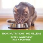 Purina ONE Indoor Advantage Natural Dry Cat Food with Turkey for Indoor Cats - Image 4