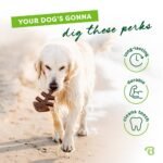 Benebone Fish Dog Bone Chew Toy - Image 6