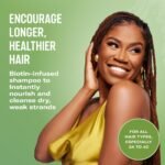 Mielle Organics Rosemary Mint Strengthening Shampoo - 12 fl oz - Image 3