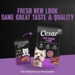 Cesar Filet Mignon Flavor Small Breed Dry Dog Food - Image 3