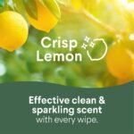 Clorox To Go Citrus Disinfecting Wipes - 9ct - Image 4