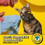 Temptations Seafood Medley Crunchy Cat Treats - Image 5
