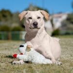 Multipet 10.5" Lamb Chop Interactive Plush Dog Toy - Image 3